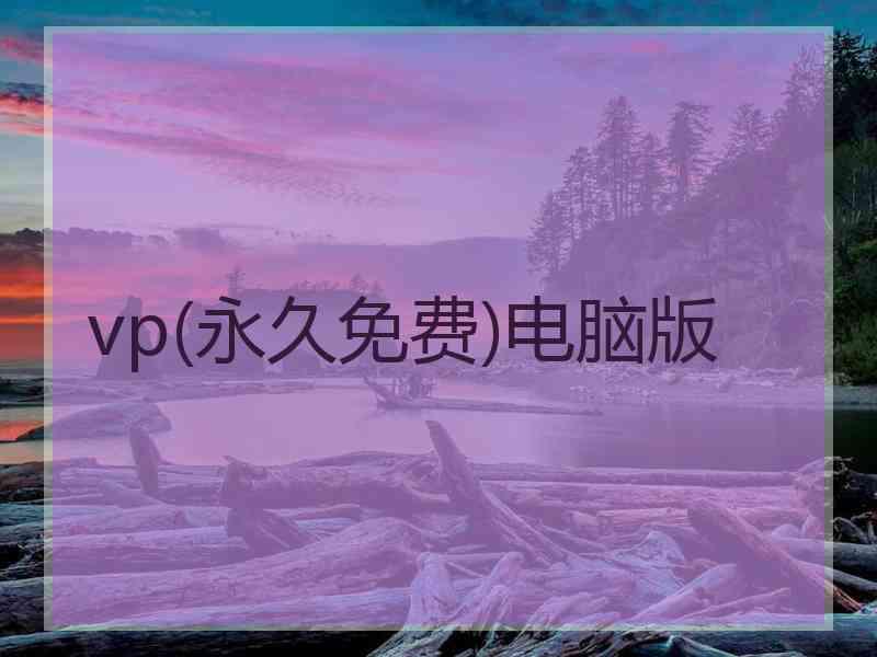 vp(永久免费)电脑版