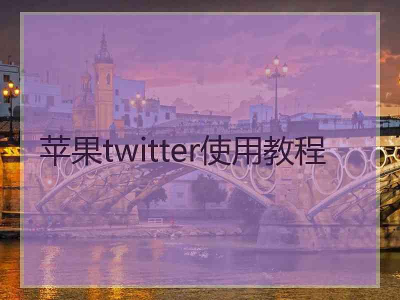 苹果twitter使用教程