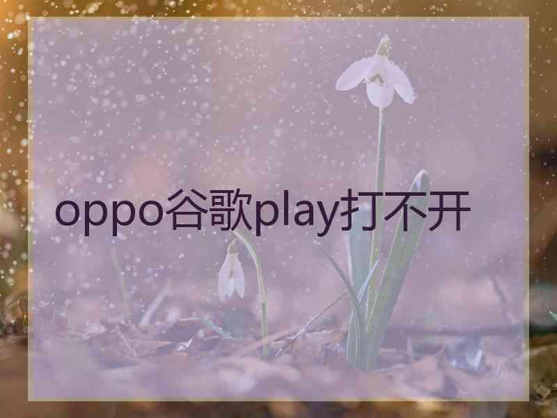 oppo谷歌play打不开