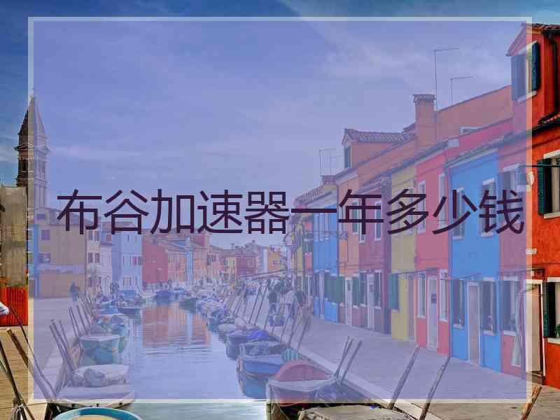 布谷加速器一年多少钱