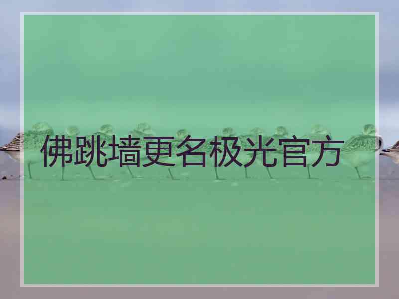 佛跳墙更名极光官方