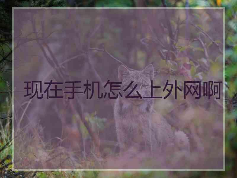 现在手机怎么上外网啊
