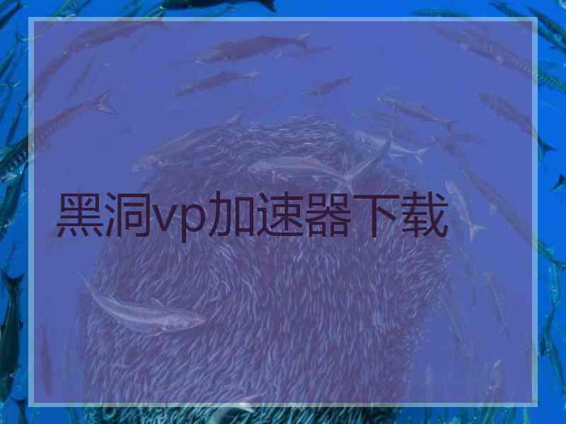 黑洞vp加速器下载