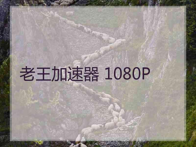 老王加速器 1080P