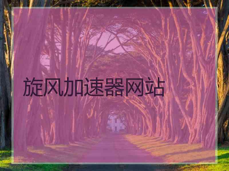 旋风加速器网站