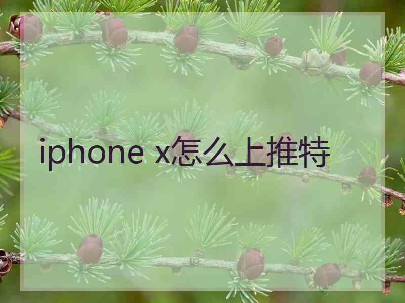 iphone x怎么上推特