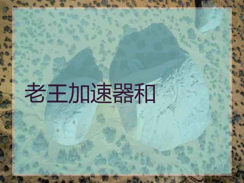 老王加速器和