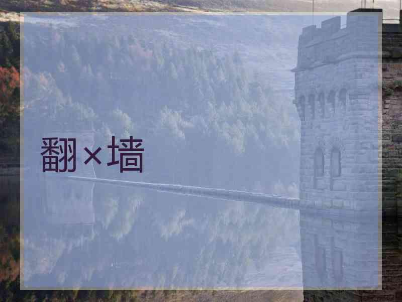 翻×墙