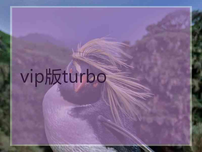 vip版turbo