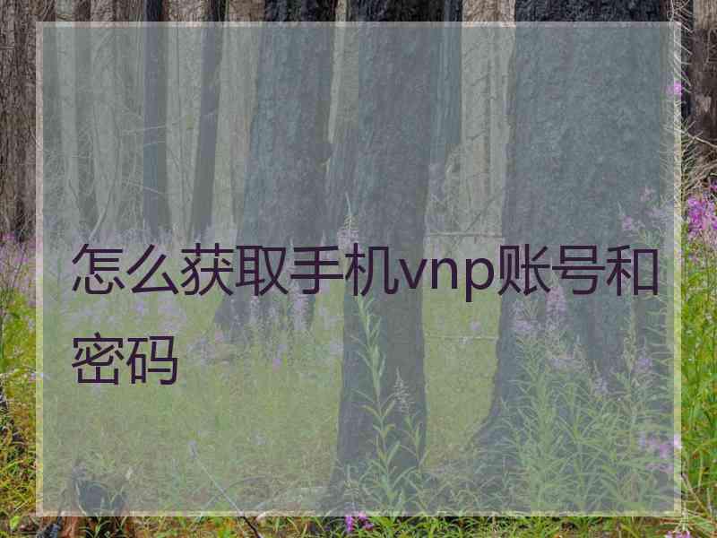 怎么获取手机vnp账号和密码