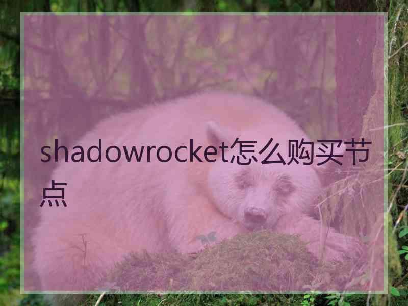 shadowrocket怎么购买节点