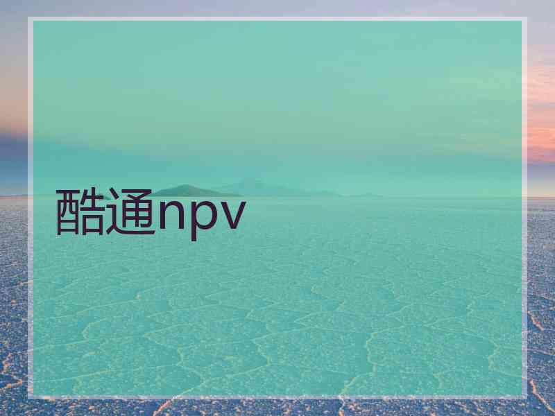 酷通npv