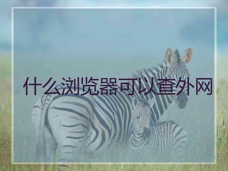 什么浏览器可以查外网