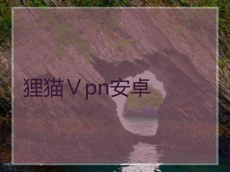 狸猫Ⅴpn安卓