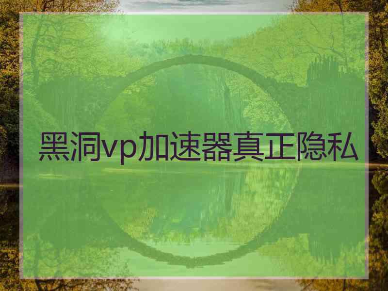 黑洞vp加速器真正隐私
