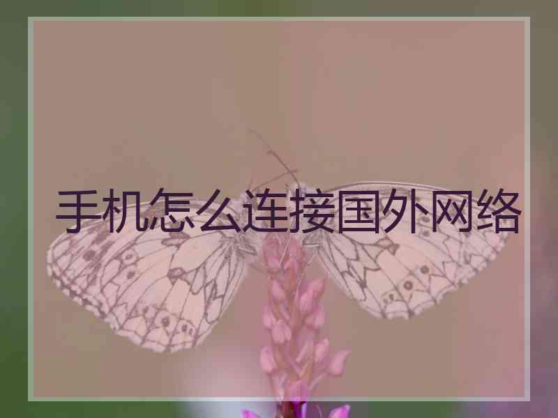 手机怎么连接国外网络
