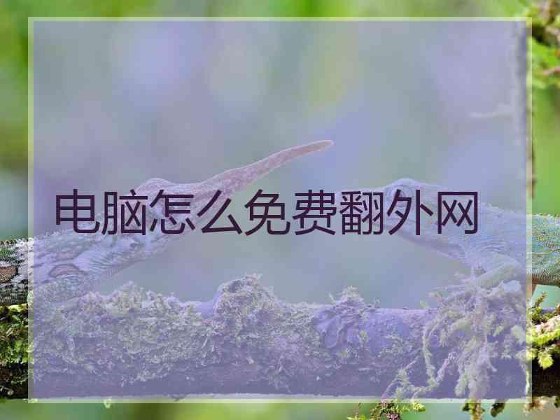 电脑怎么免费翻外网