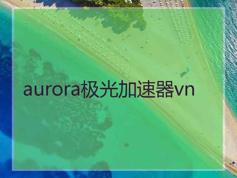 aurora极光加速器vn