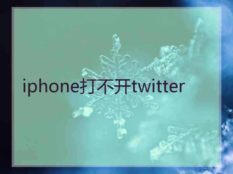 iphone打不开twitter