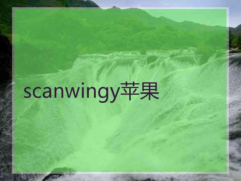 scanwingy苹果