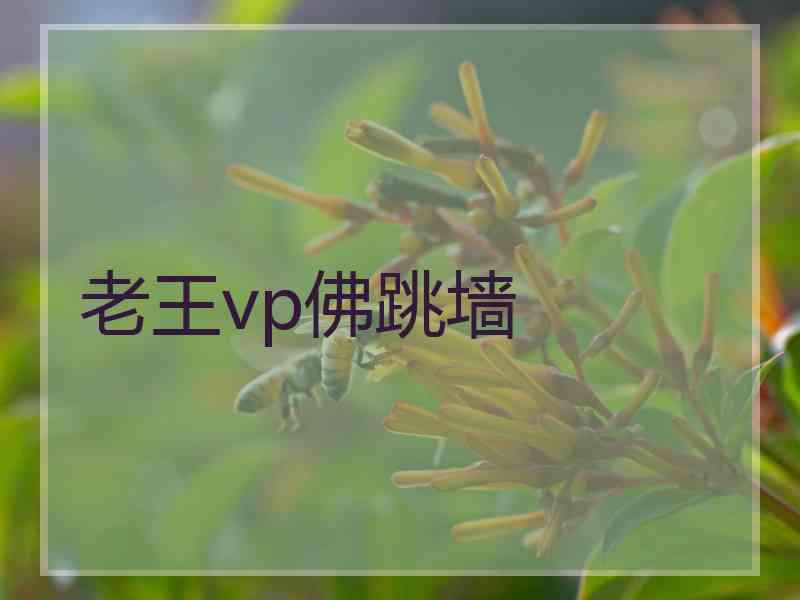 老王vp佛跳墙