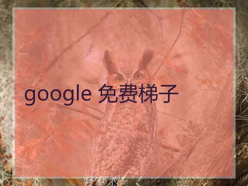 google 免费梯子