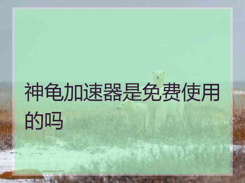 神龟加速器是免费使用的吗