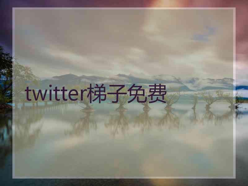 twitter梯子免费