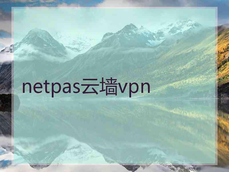 netpas云墙vpn