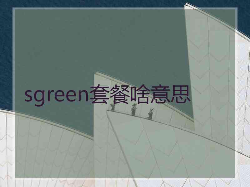 sgreen套餐啥意思