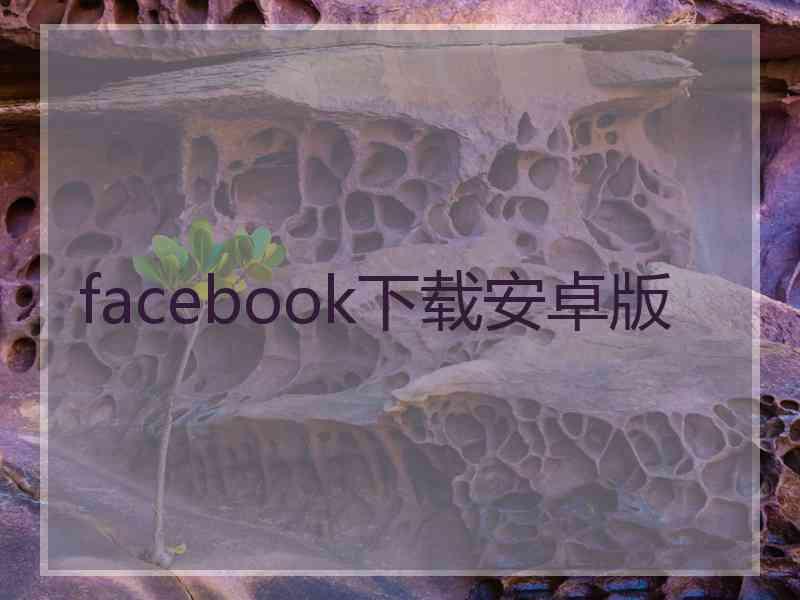 facebook下载安卓版