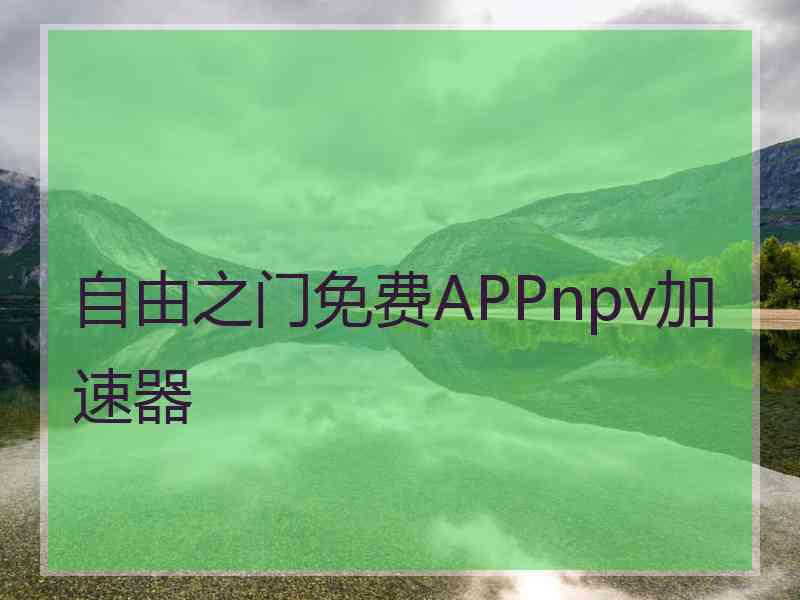 自由之门免费APPnpv加速器