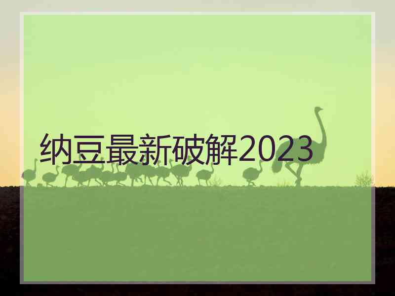 纳豆最新破解2023