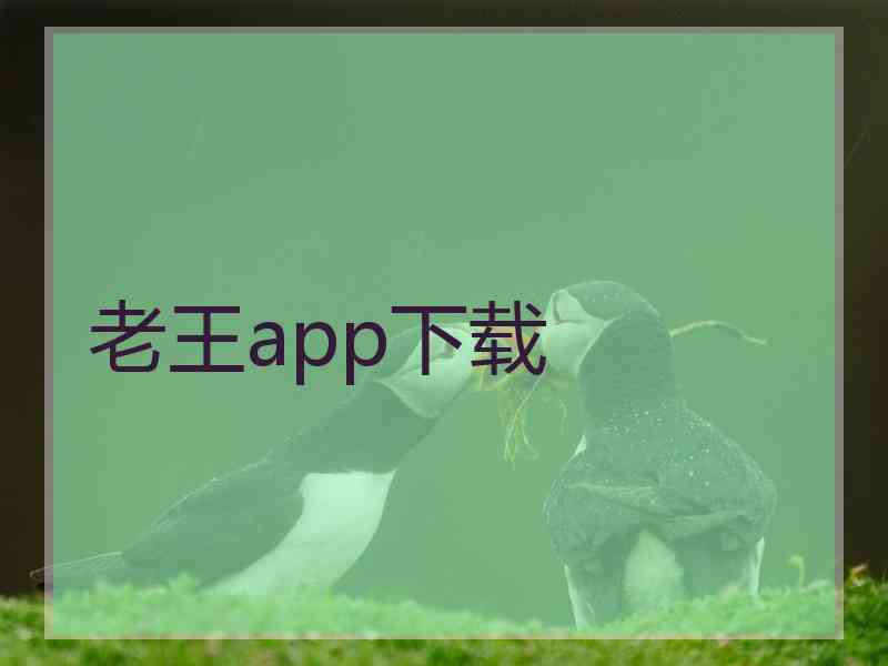 老王app下载