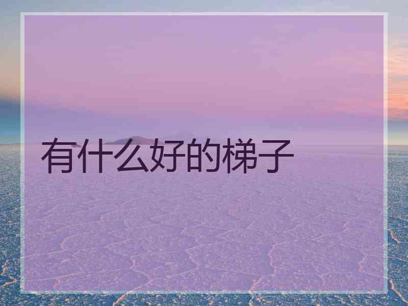 有什么好的梯子