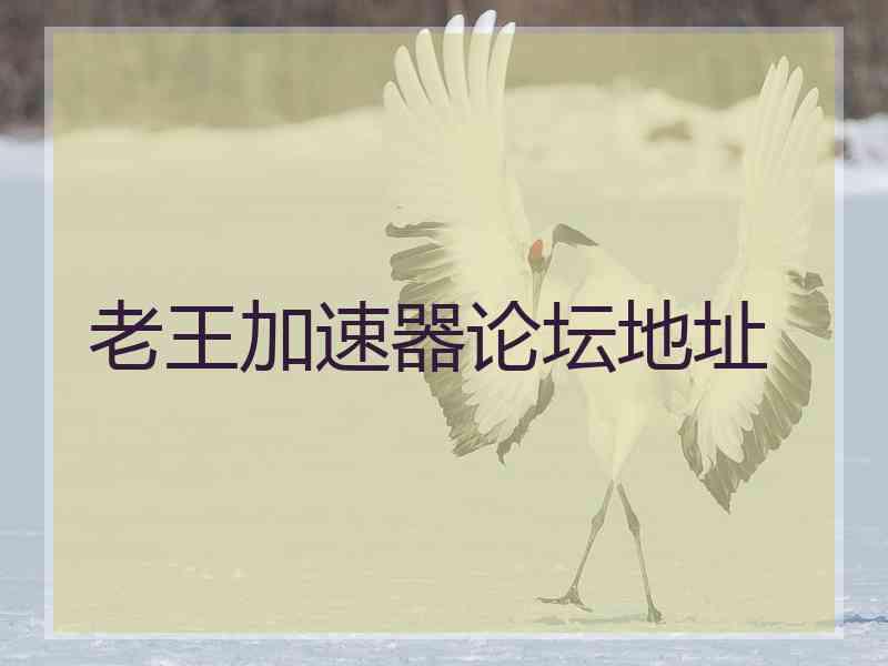 老王加速器论坛地址