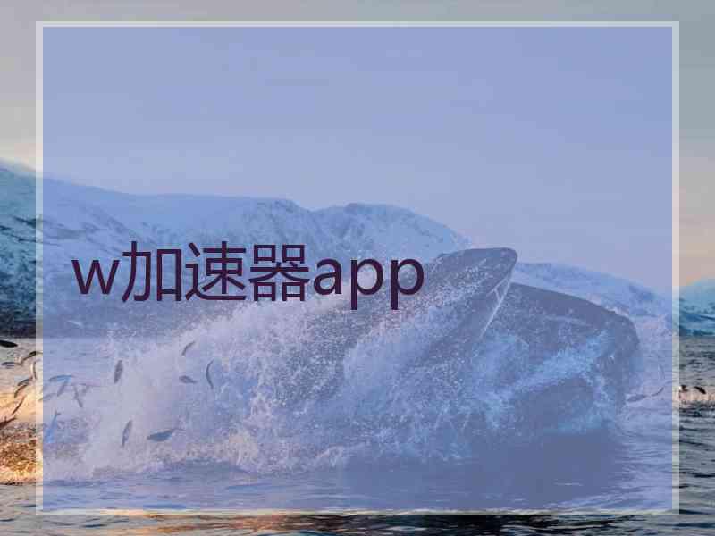 w加速器app