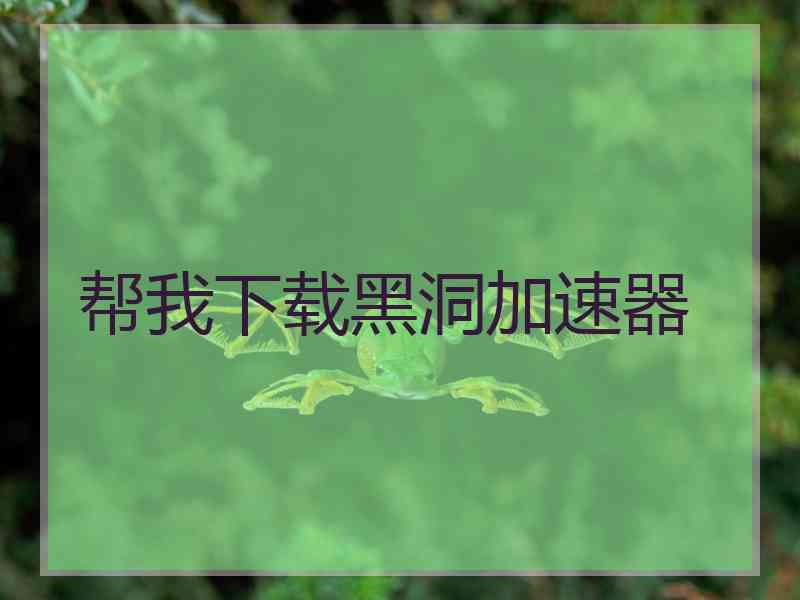 帮我下载黑洞加速器