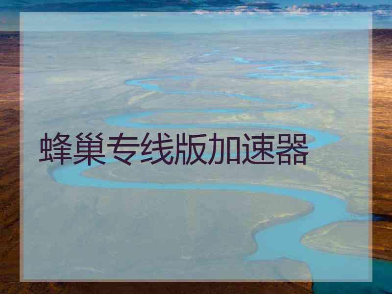 蜂巢专线版加速器