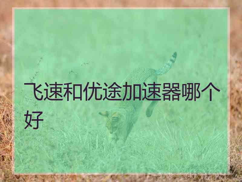 飞速和优途加速器哪个好