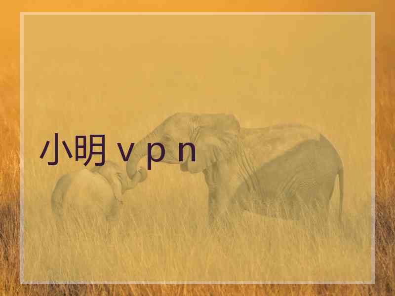 小明 v p n