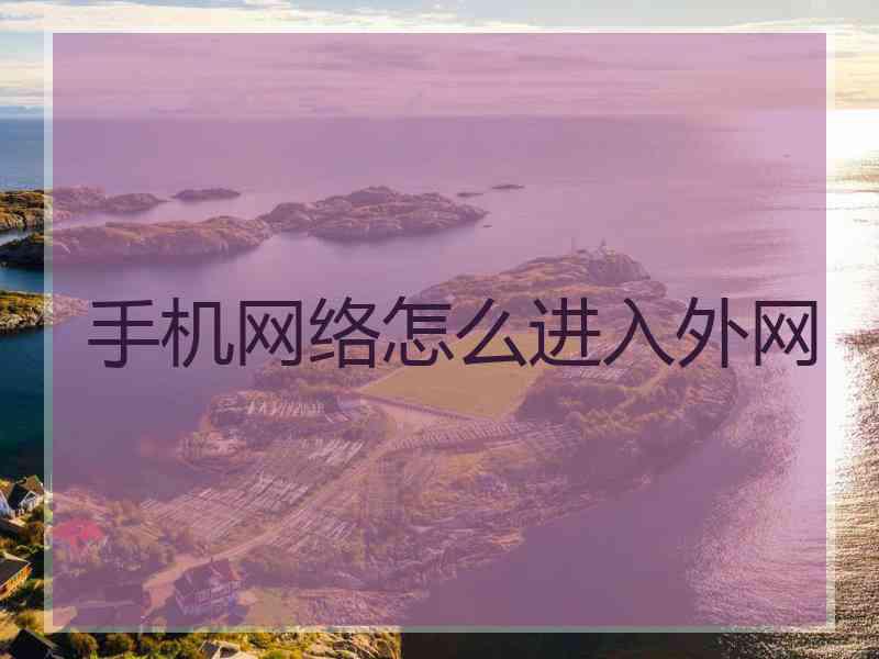 手机网络怎么进入外网