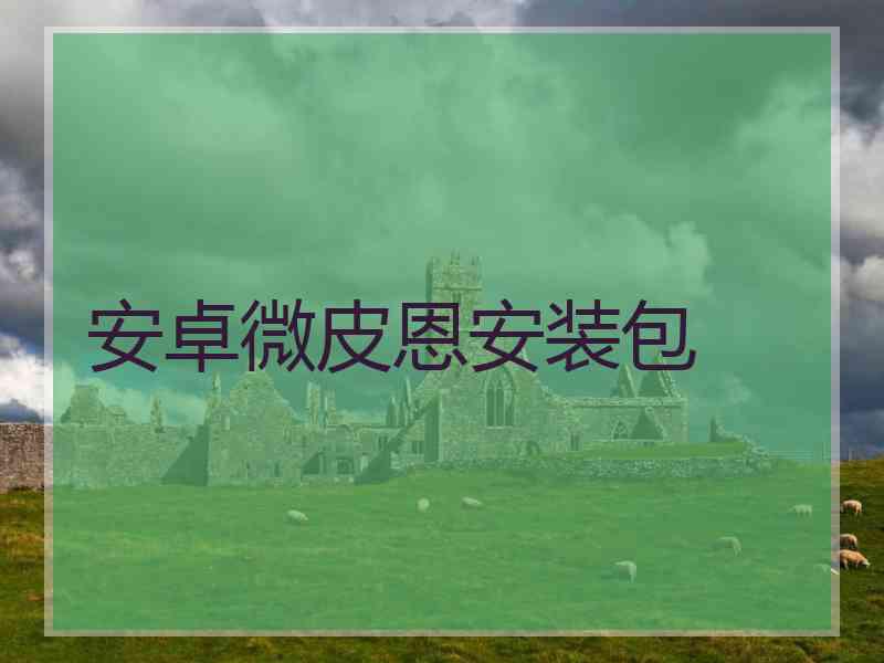 安卓微皮恩安装包