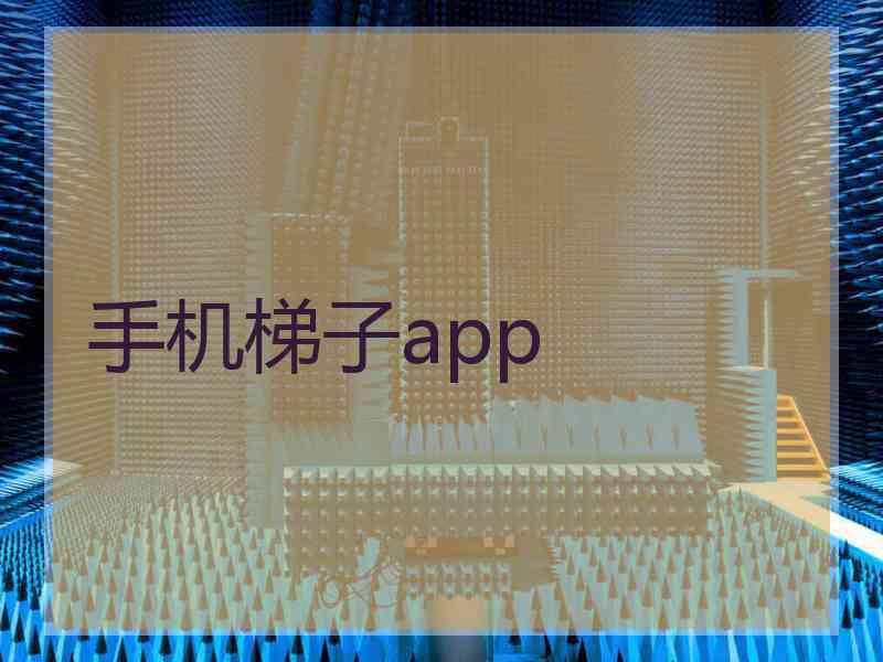 手机梯子app