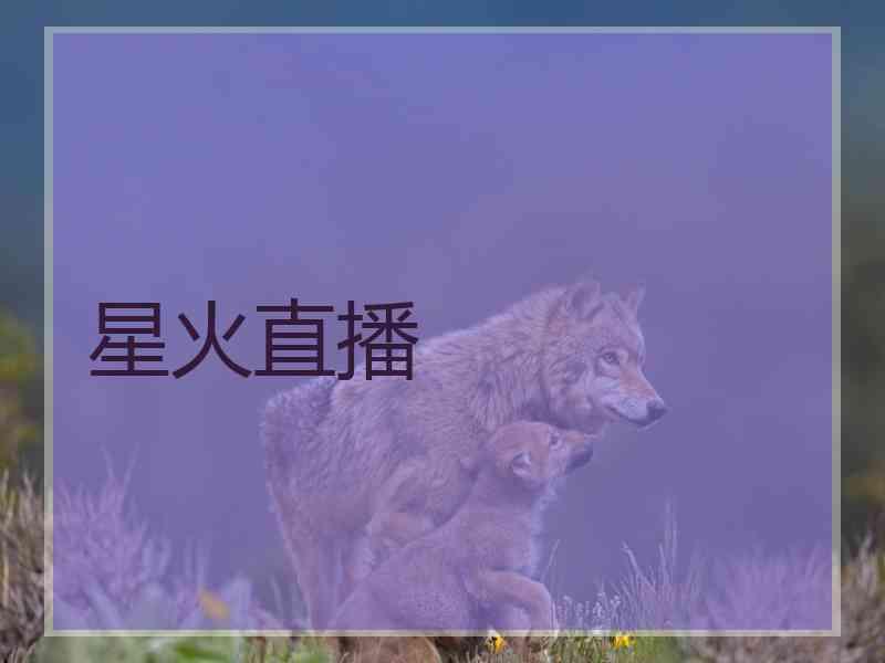 星火直播