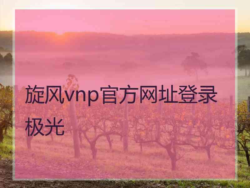 旋风vnp官方网址登录极光