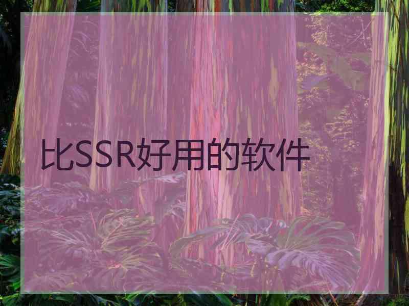 比SSR好用的软件