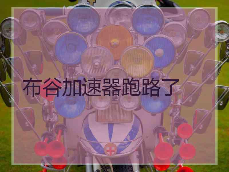 布谷加速器跑路了