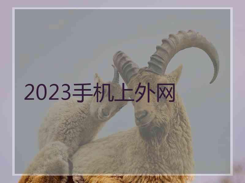 2023手机上外网