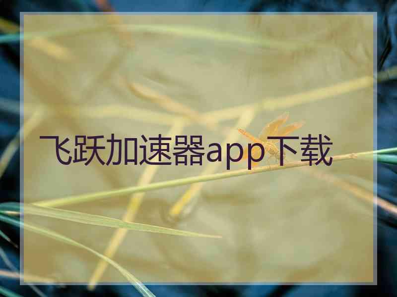 飞跃加速器app下载